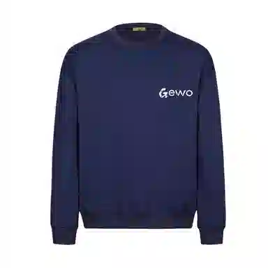 GEWO Logo3D