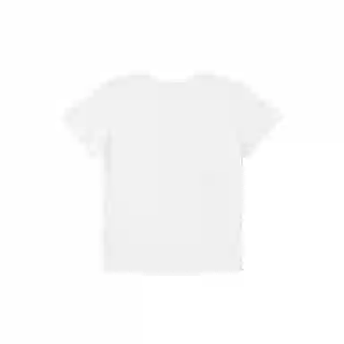 THE MUSEUM VISITOR T