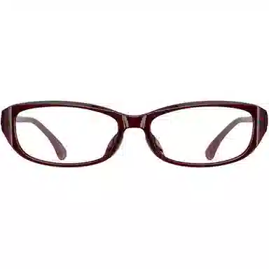 PARIM 84065 Tortoise