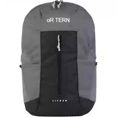 THE NORTH FACE28L LICHEN