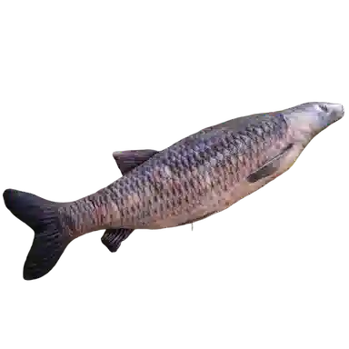 WADORN 40cm60cm80cm100cm