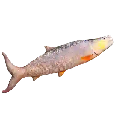 WADORN 40cm60cm80cm100cm