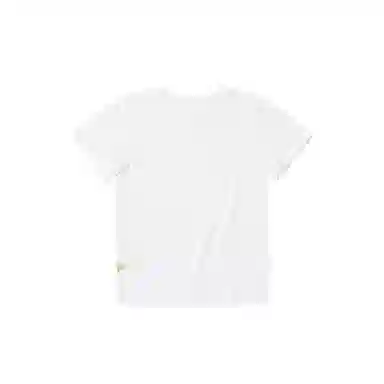 THE MUSEUM VISITOR T