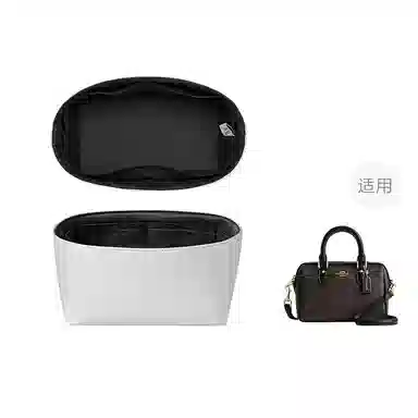 FANJI Coachmini 18.5