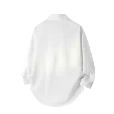 GOOSELIAR