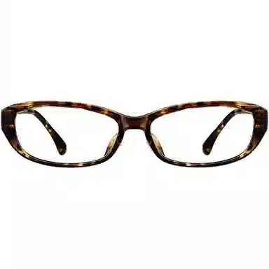 PARIM 84065 Tortoise