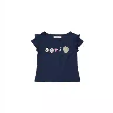 THE MUSEUM VISITOR T