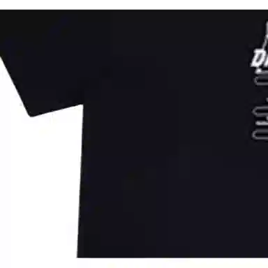 Dickies Logo T-Shirt Black