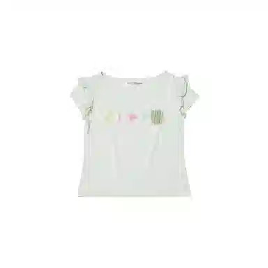 THE MUSEUM VISITOR T