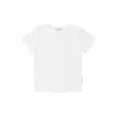 THE MUSEUM VISITOR T