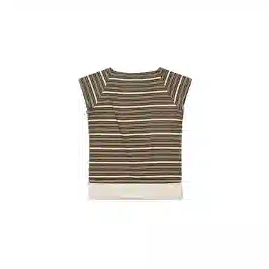 THE MUSEUM VISITOR T