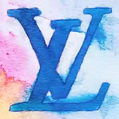 Louis Vuitton Pocket Organiser