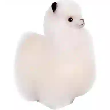 BBFAT ALPACA