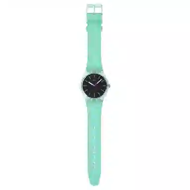 SWATCH Swatch Essentials 30 41mm