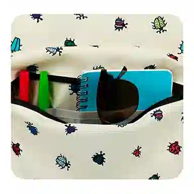 JanSport 26L