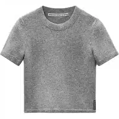 alexander wang FW25T