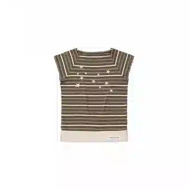 THE MUSEUM VISITOR T