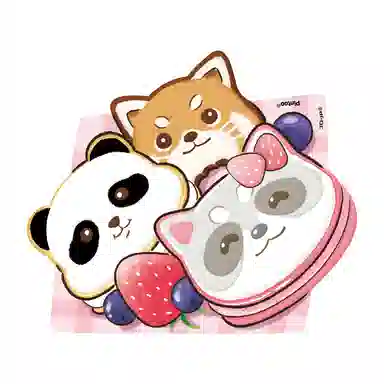 3D-JP 23Pazzy 0-300pcs T1157-T1166