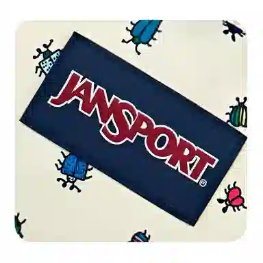 JanSport 26L