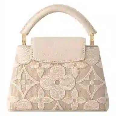 LOUIS VUITTON Capucines
