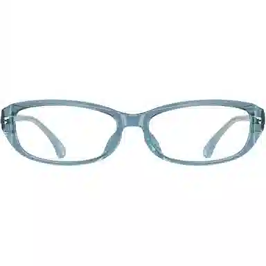 PARIM 84065 Tortoise