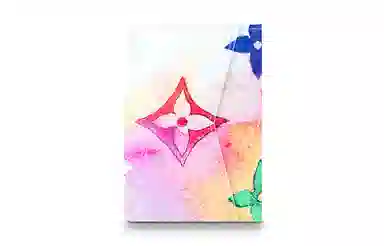 Louis Vuitton Pocket Organiser