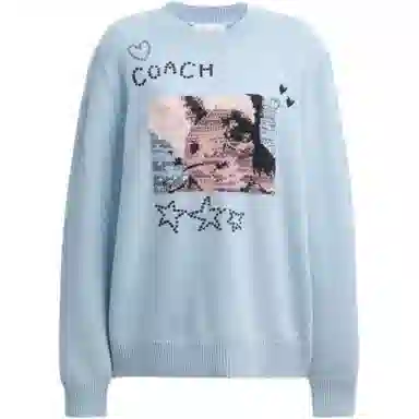 COACH FW25