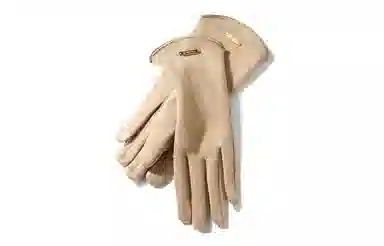 Cranta Komeia
