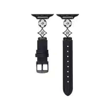 AppleS10 iwatch56789SE