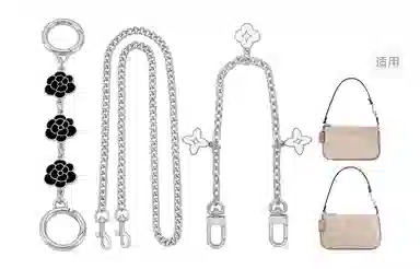 Coach Nolita19 Chain Strap Silver