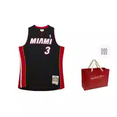 Mitchellness SW12-13V 3