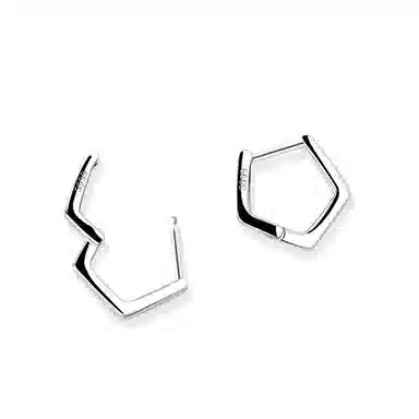 S999 LELC 2025ins999