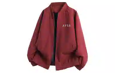 AYEA logo