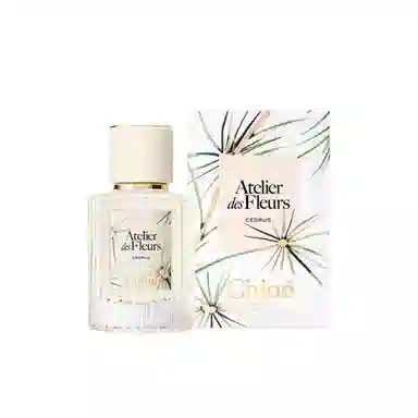 Chloe Wonderland Garden North Cedarwood EDP 50ml