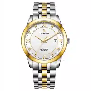 TANGIN 18K 41mm T3025GYWJB