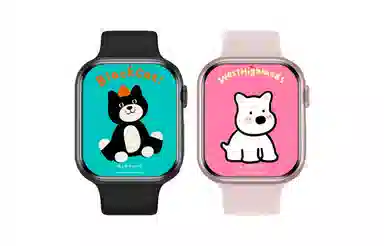 JOKER CAT S9mini - 41MM