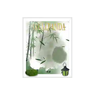 LIGHT YOUR BRICKS SP