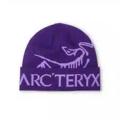 Arcteryx Beanie