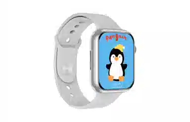 JOKER CAT S9mini - 41MM