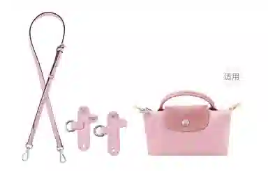 Longchamp Mini Crossbody
