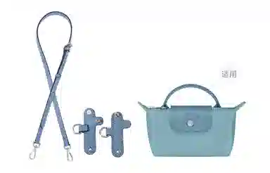 Longchamp Mini Crossbody