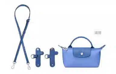 Longchamp Mini Crossbody