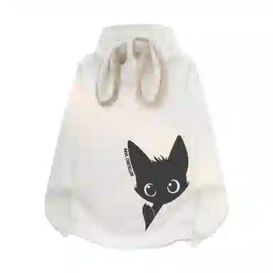 PAUL COSTELLOE Paullogo