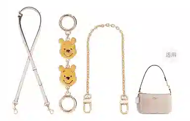 Disney COACHNolita19