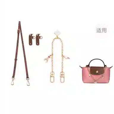 Longchamp Le Pliage Mini Ice Cream Chain Strap Brown