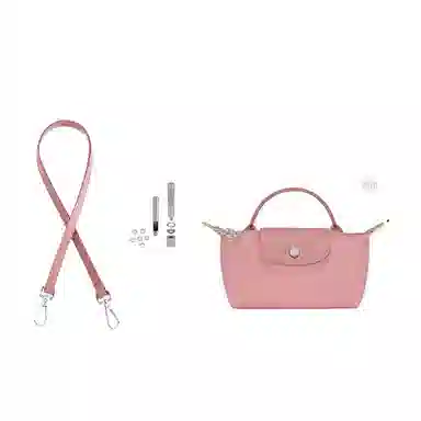Longchamp Le Pliage 17 Mini