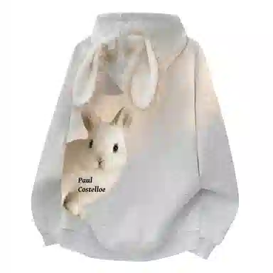 Paul Costelloe Logo Hoodie