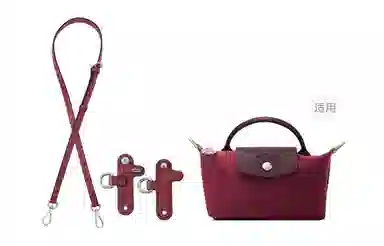 Longchamp Mini Crossbody