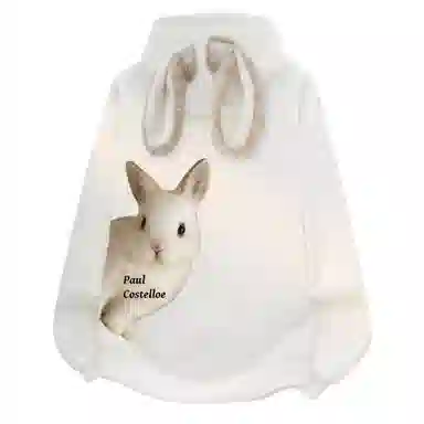 Paul Costelloe Logo Hoodie