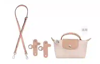 Longchamp Mini Crossbody
